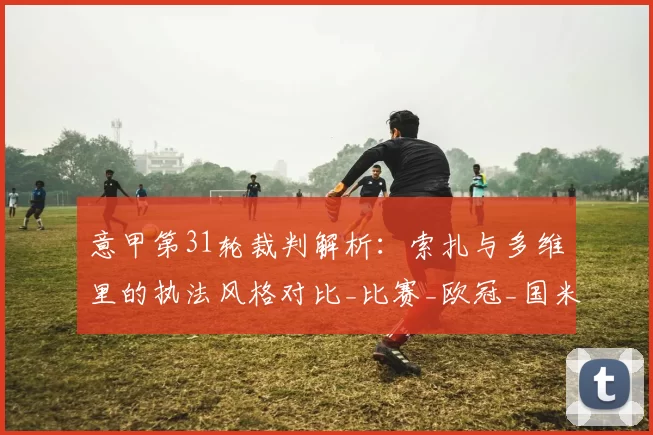 意甲第31轮裁判解析：索扎与多维里的执法风格对比_比赛_欧冠_国米