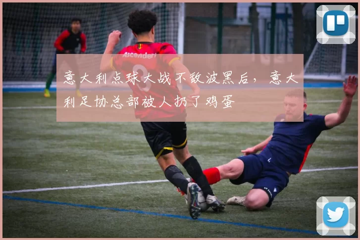 意大利点球大战不敌波黑后，意大利足协总部被人扔了鸡蛋